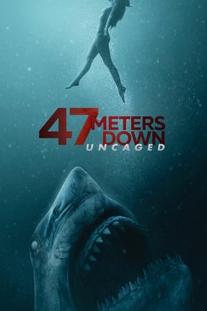 47 Meters Down: Uncaged (2019) Hindi Dual Audio 480p BluRay 400MB - Movierulz