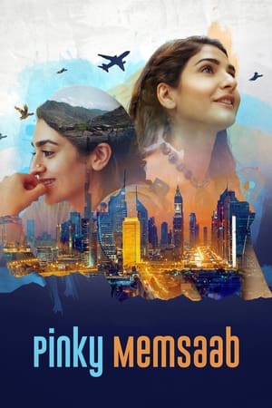 Pinky Memsaab 2018 Urdu Movie 480p HDRip - [360MB] - Movierulz