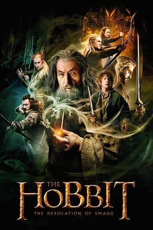 The Hobbit: The Desolation of Smaug (2013) Hindi Dubbed BluRay 720p [1.9GB] Download - Movierulz
