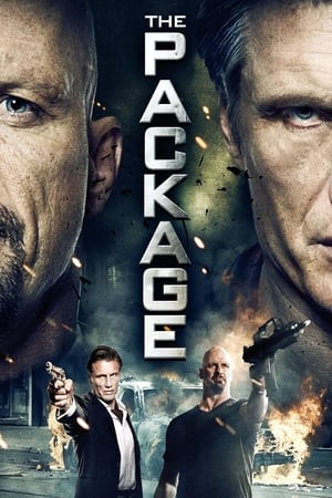 The Package (2013) Hindi Dual Audio 720p HDRip [750MB] - Movierulz