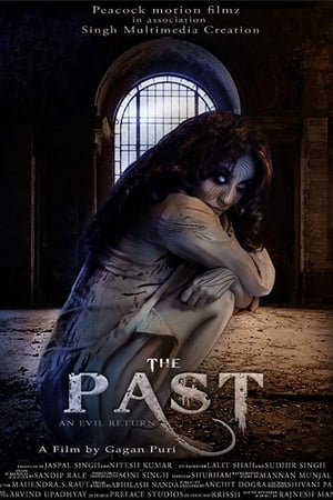The Past 2018 Hindi Movie 720p HDRip x264 [940MB] - Movierulz