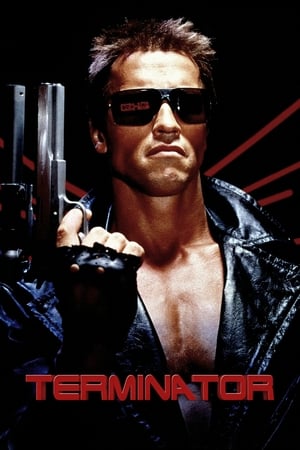 The Terminator (1984) Hindi Dual Audio 720p BluRay [800MB] - Movierulz