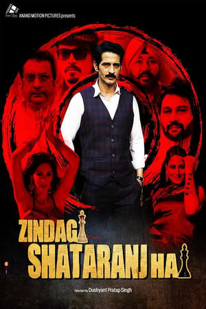 Zindagi Shatranj Hai (2023) Hindi Movie Pre-DVDRip 720p – 480p - Movierulz